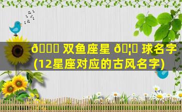 🍁 双鱼座星 🦊 球名字(12星座对应的古风名字)